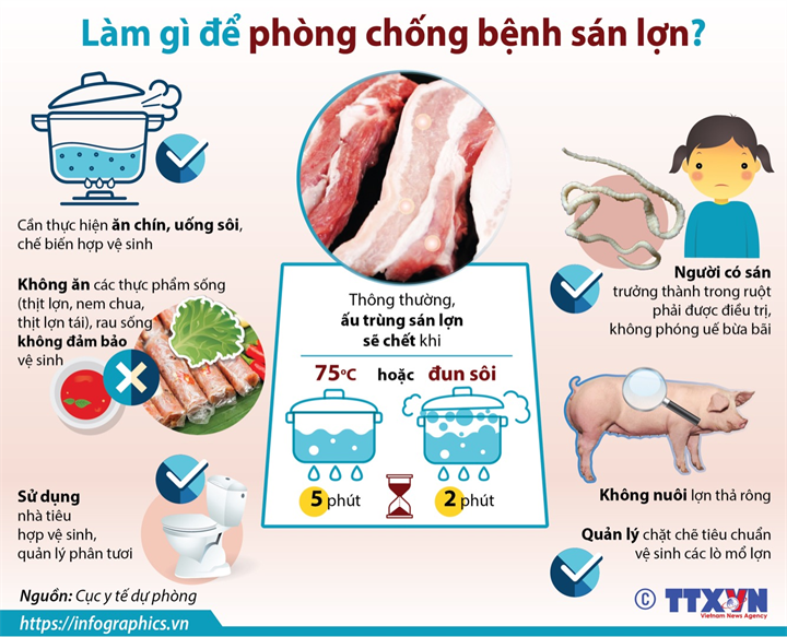 Cảnh báo nhiễm sán dây lợn do ăn uống không hợp vệ sinh