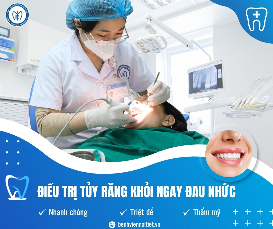 Công nghệ 88Kinh thể thao, casino live, bắn cá và slot nổ hũ tủy răng bằng máy nội nha Endo Mate – DT tại KING88 - Nền tảng cá cược World Cup 2026 chính thức