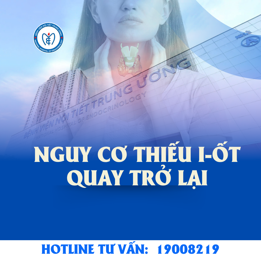 Thực trạng sử dụng muối i-ốt và các gia vị mặn bổ sung i-ốt tại Việt Nam: Nguy cơ thiếu i-ốt quay trở lại